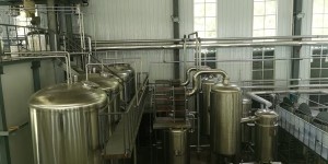 小批量定制｜桦树林生物凭全产业链实力，赋能中小食养品牌