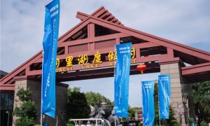 嘉兴通信线缆产业链企业亮相光电线缆及光器件行业“十五五”规划发布会
