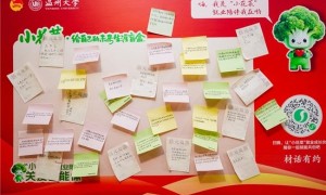 温州大学举办全市示范性主题团日活动
