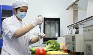 九万配送本地农产直送校园，产销对接帮扶农户增收