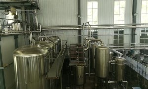 小批量定制｜桦树林生物凭全产业链实力，赋能中小食养品牌